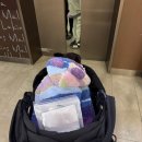 푸른별안과동물병원 | 일산 동물병원 아이좋아안과외과 비만세포종 제거 수술(2026.02.18.)