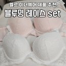 엘르 이너웨어 여성스러운 브라 추천 블루밍 레이스 화이트 핑크 후기