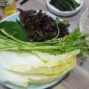 삼천포세꼬시 이미지