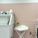 라온펫미용실 이미지