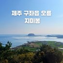 지미오름 | 제주 지미오름 반려견동반 여행 트래킹 후기