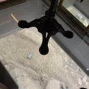 타이어킹박사(주) | 단조로운 일상 위에 한 스푼, 쩝쩝박사 서울 원정기 (포시즌스 더마켓키친·성수·서울역 호우섬)