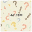 서양난 동양난 종류와 키우는 법부터 분갈이까지 완벽 정리