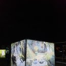 2020 태화강 빛 축제 이미지