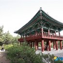 월송정 이미지