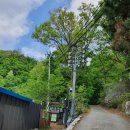 도봉-도봉-서울도봉-2207 | ^ 도봉산 포대능선/ 220506.금/ 2207제목없음