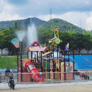 달성군민운동장 이미지