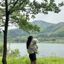 가평애견카페리버뷰펜션