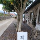 위니비니김해 네이버블로그