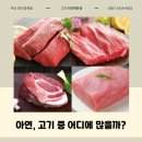 아연이정육점