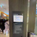 평택역 AK플라자 중식 딤섬 맛집 드래곤차이