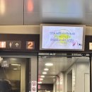 [경주] 필름 카메라와 함께 한 낭만여행 경주네컷 75기 후기 1