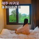지에스25제주인화점 | 제주 숙박 성산 가성비 숙소 플레이스캠프제주 디럭스룸