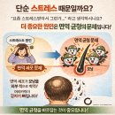 생명나무한의원 | 수원원형탈모 병원 동그란 탈모 고민 해결하기