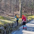 늑대와 여우 이미지