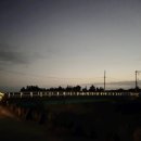 제주게토게스트하우스파티 | [제주 서귀포]제주게토 게스트하우스파티 존잼(+ 4인실 후기)