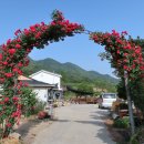 상천리 마을회관 이미지