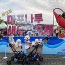 소미밥상 | 마포나루 새우젓축제 반려동물 문화축제 후기