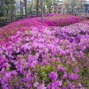 천연염색머리방 - 전주시 완산구 효동2길 9 | 천연염색머리방