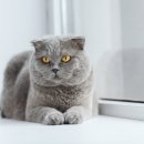 율동물의료센터 이미지