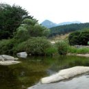 신상리 Daum카페