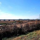 배다리생태공원 이미지