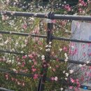 옻골문화공원 이미지