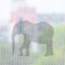 코끼리셀프 쇼핑하우