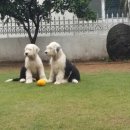 고요한 아침 이미지