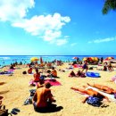 하와이 여행[휴양지] 따뜻한 파라다이스로 훌쩍 떠나볼까 이미지