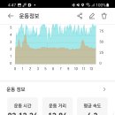 비봉마리나 이미지