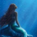 인어공주비