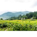 태백농장 이미지