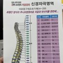 3H 지압침대 이미지