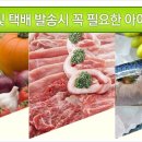 아이스꽁꽁 네이버블로그