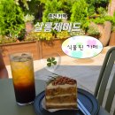 살롱듀 | 춘천 카페 추천 식물원이 있는 브런치 카페 제이드가든 살롱제이드 (but 식물원은 안 감)