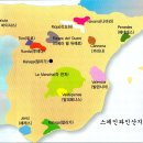 2. 스페인 와인