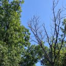 우면산6-13 이미지