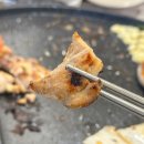 화신로260번길 | 일산 화정역 맛집 닭갈비제작소 대창 섞은 원조 철판 양념 후기