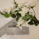 보이네안경원 &  위드렌즈 광양점 이미지