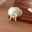 에스오에스 | 100BON '에스오에스(S.O.S)' 스프레이 Review 리뷰 [내돈내산 후기]