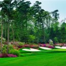 오거스타 이미지