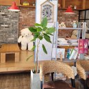 연이네 해장국 사골곰탕 이미지