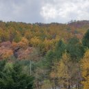 치악산황둔청소년수련원 이미지