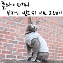 플라이퍼피 네이버블로그