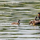 신대호수 이미지