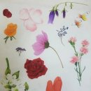 민화와 채색화 이미지