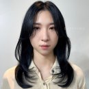 아이벨르팜므 - 강남구 남부순환로 2927 | 둔촌동미용실 아이벨르팜므 둔촌포레온점 레이어드컷 받고 온 후기