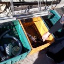 우리고철 이미지