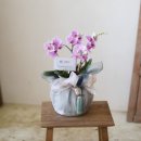 승진농장 이미지